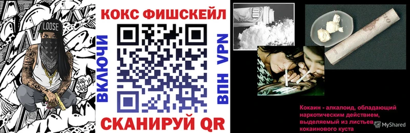 КОКАИН Fish Scale  МЕГА рабочий сайт  Дудинка 