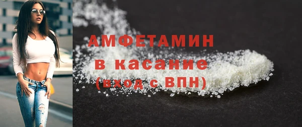 сатива Сясьстрой