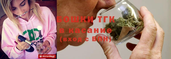 молекула духа Горняк