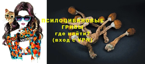 молекула духа Горняк