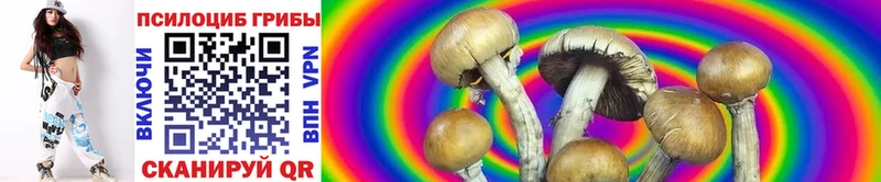 Галлюциногенные грибы мухоморы  закладка  Дудинка 