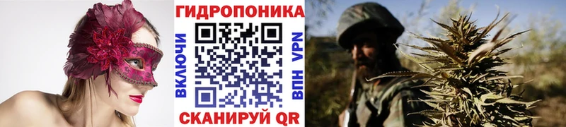 Конопля VHQ Дудинка